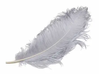 50PCS stručio plunksna natūrali balta stručio plunksnos 50-55 cm / 20 iki 22 cm vestuvių performance plunksnelių ravėjimas apdaila
