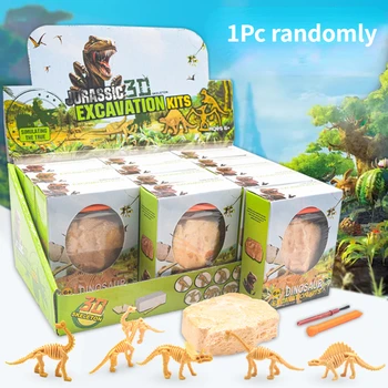 Dinozaurų Iškastinio Kasimo Rinkinių Mokslinio Kasybos Švietimo Montessori Jutimo Žaislai Dinozaurų Archeologijos Kasimo Žaislai Vaikams